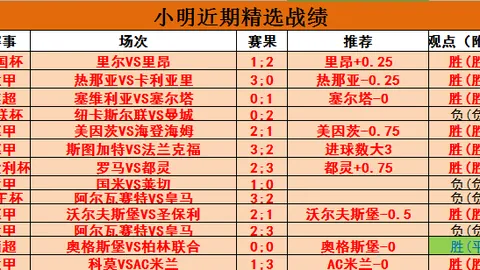 【2026马来西亚羽毛球公开赛】开年盛事大放异彩！赛程直播一键掌握攻略
