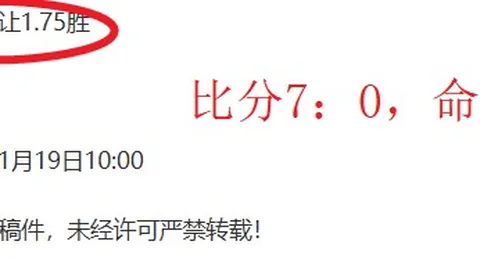 中国网球澳网之旅止步次轮，蓄力攀登新高峰