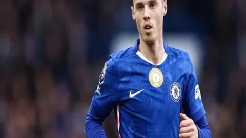 篮球梦启航：颜小白篇，3小时前更新